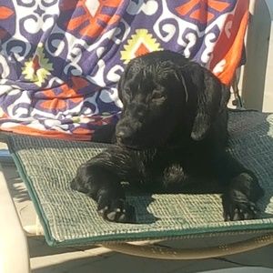 Meet your Posher, Jane